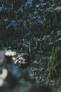 强制关苹果手机版-第1张图片-亚星国际官网 强制关苹果手机版-第1张图片-亚星国际官网