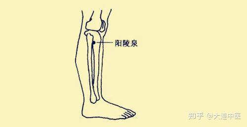 快乐点穴安卓版点穴神功游戏下载-第2张图片-亚星国际官网