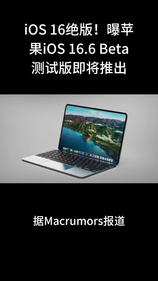 迅雷企业版苹果手机版ios(迅雷企业版ios最新2020)-第12张图片-有道翻译官网