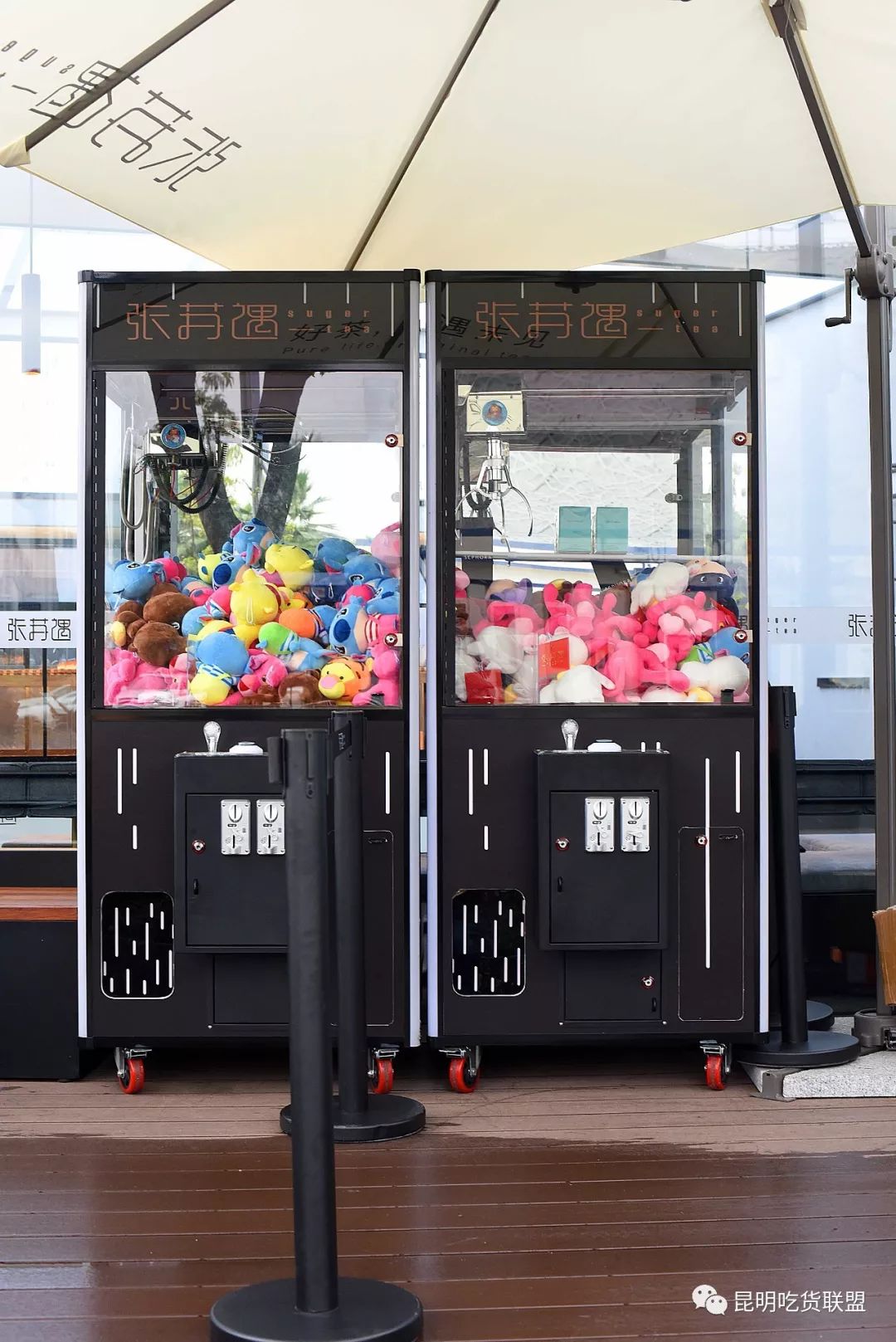 吃货联盟土豪版下载苹果版的简单介绍-第4张图片-有道翻译官网