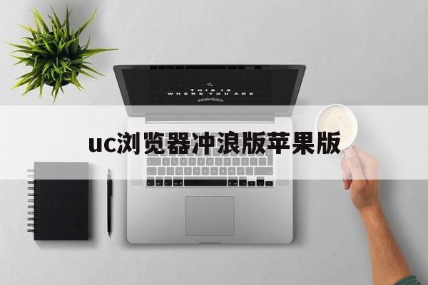 uc浏览器冲浪版苹果版(uc浏览器极速版苹果手机版)-第15张图片-有道翻译官网