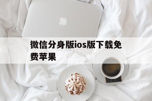 微信分身版ios版下载免费苹果(微信分身版苹果版免费下载微信下载)-第14张图片-有道翻译官网